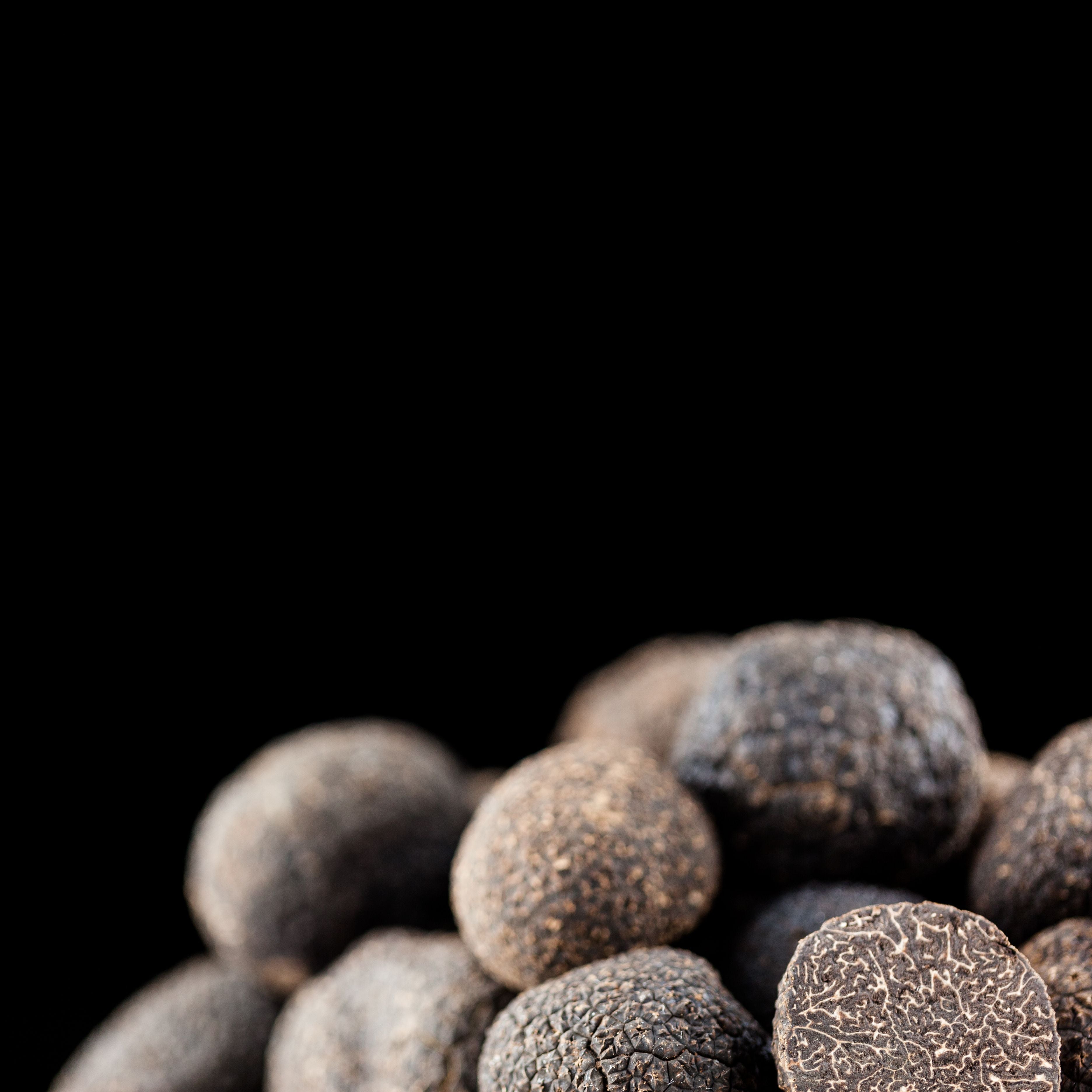 FRESH BLACK TRUFFLE